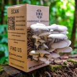 Grey Oyster Mushroom - Grow Box