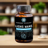 Lion's mane capsules