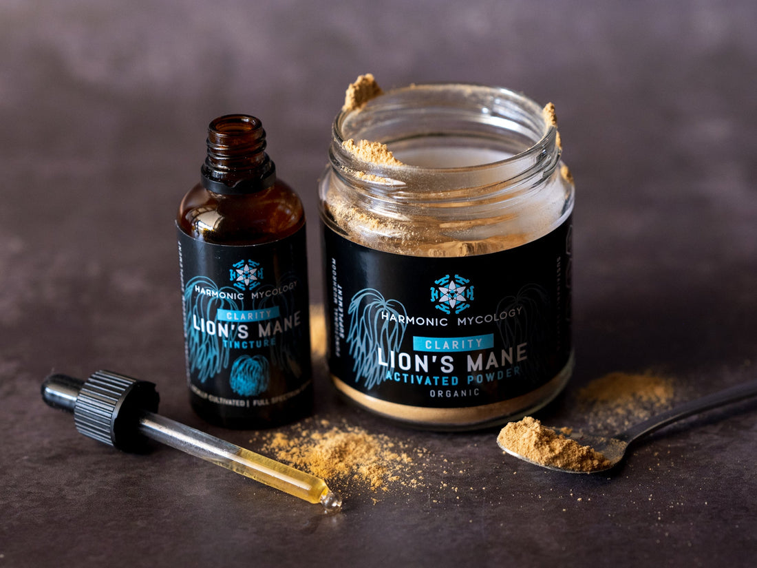 Mushroom Powders vs Tinctures. FAQ01
