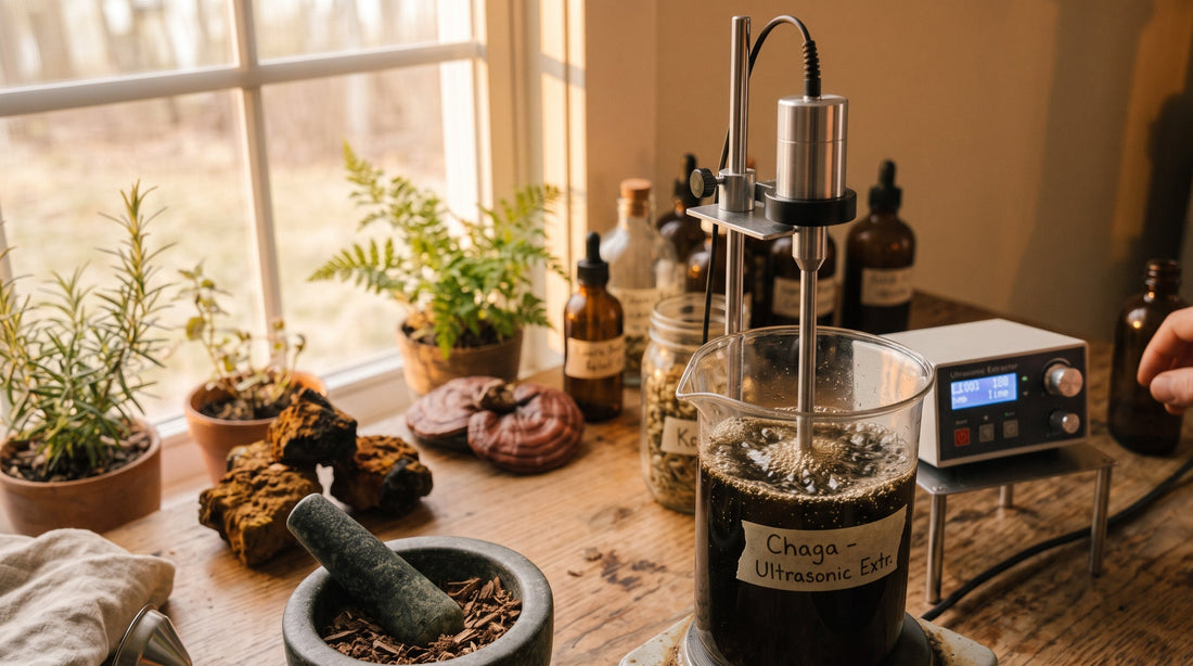 Ultrasonic Extraction and Vacuum Distillation: The Gentle Science Behind a Better Mushroom Extract