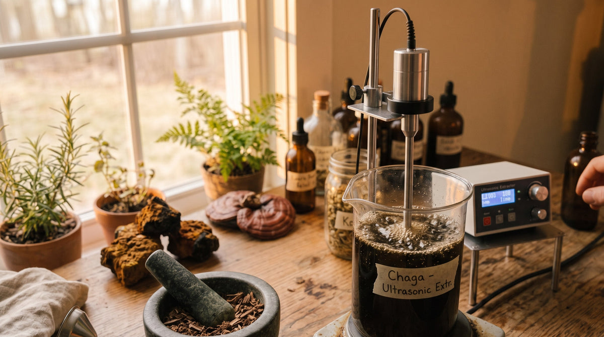Ultrasonic Extraction and Vacuum Distillation: The Gentle Science Behind a Better Mushroom Extract