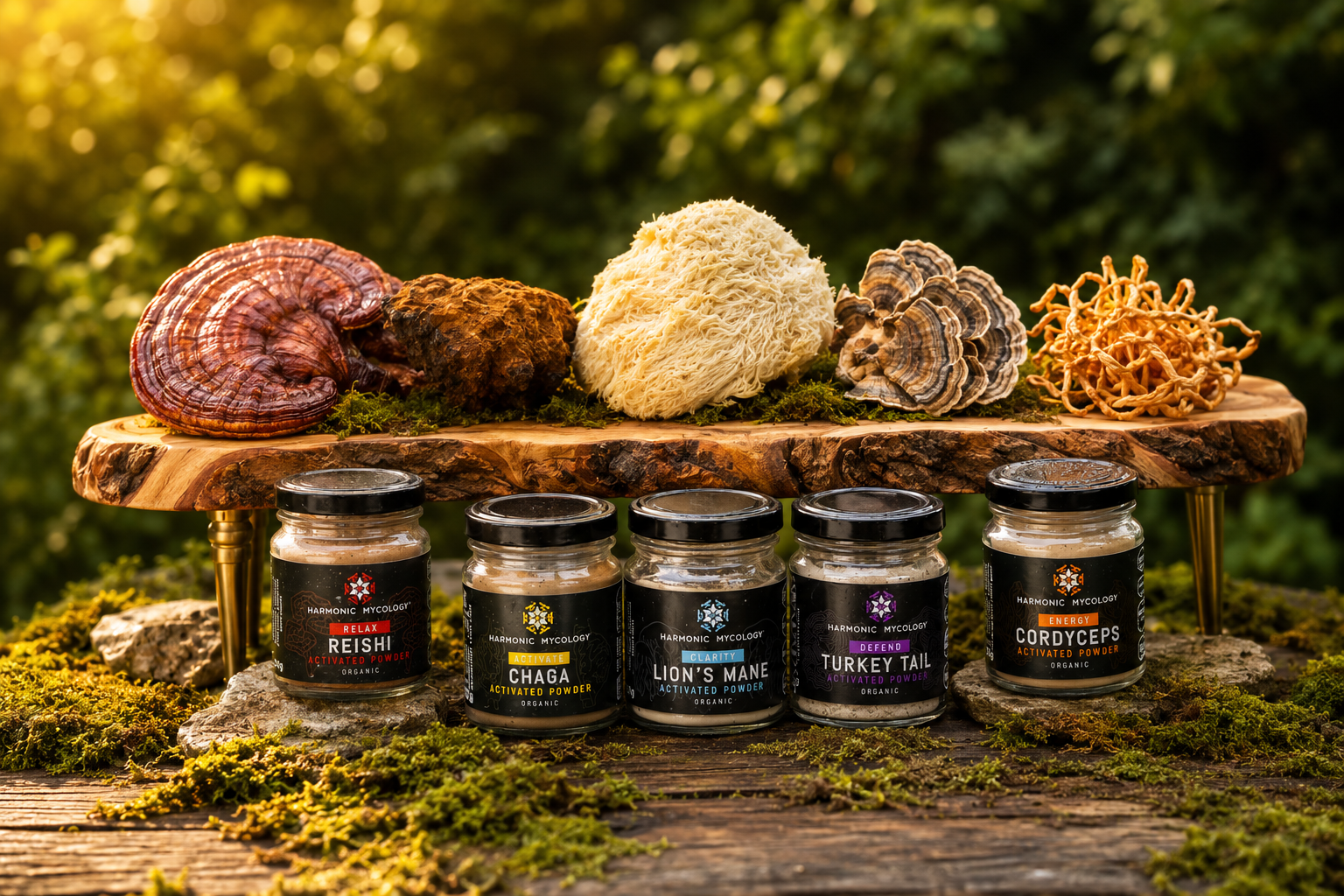 Activated, certified organic mushroom powders.