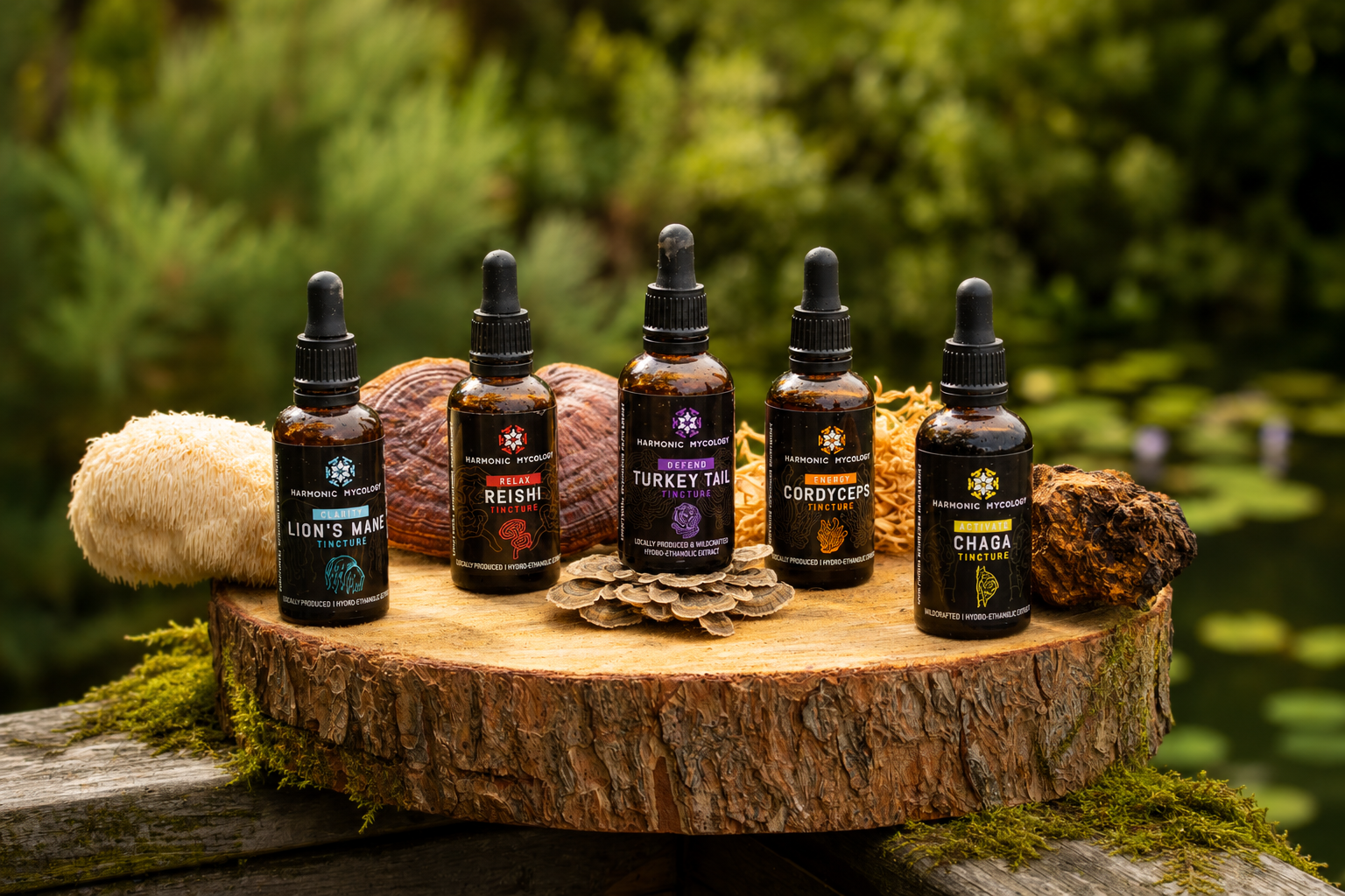 Functional mushroom liquid triple extracts.