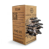 Black Pearl Oyster Mushroom - Grow Box