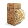 Enoki Mushroom - Grow Box