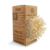 Enoki Mushroom - Grow Box