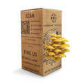 Golden Oyster Mushroom - Grow Box