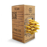 Golden Oyster Mushroom - Grow Box