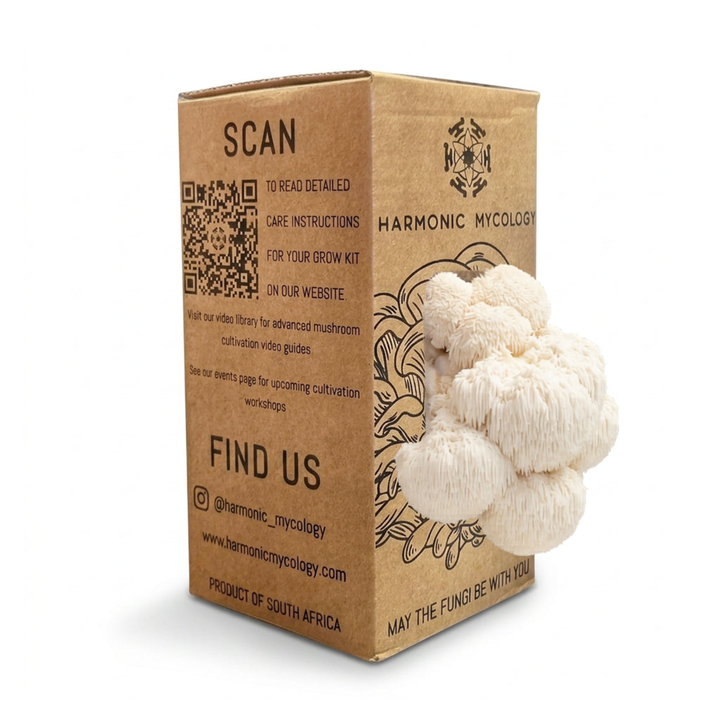 Lion's mane Mushroom - Grow Box