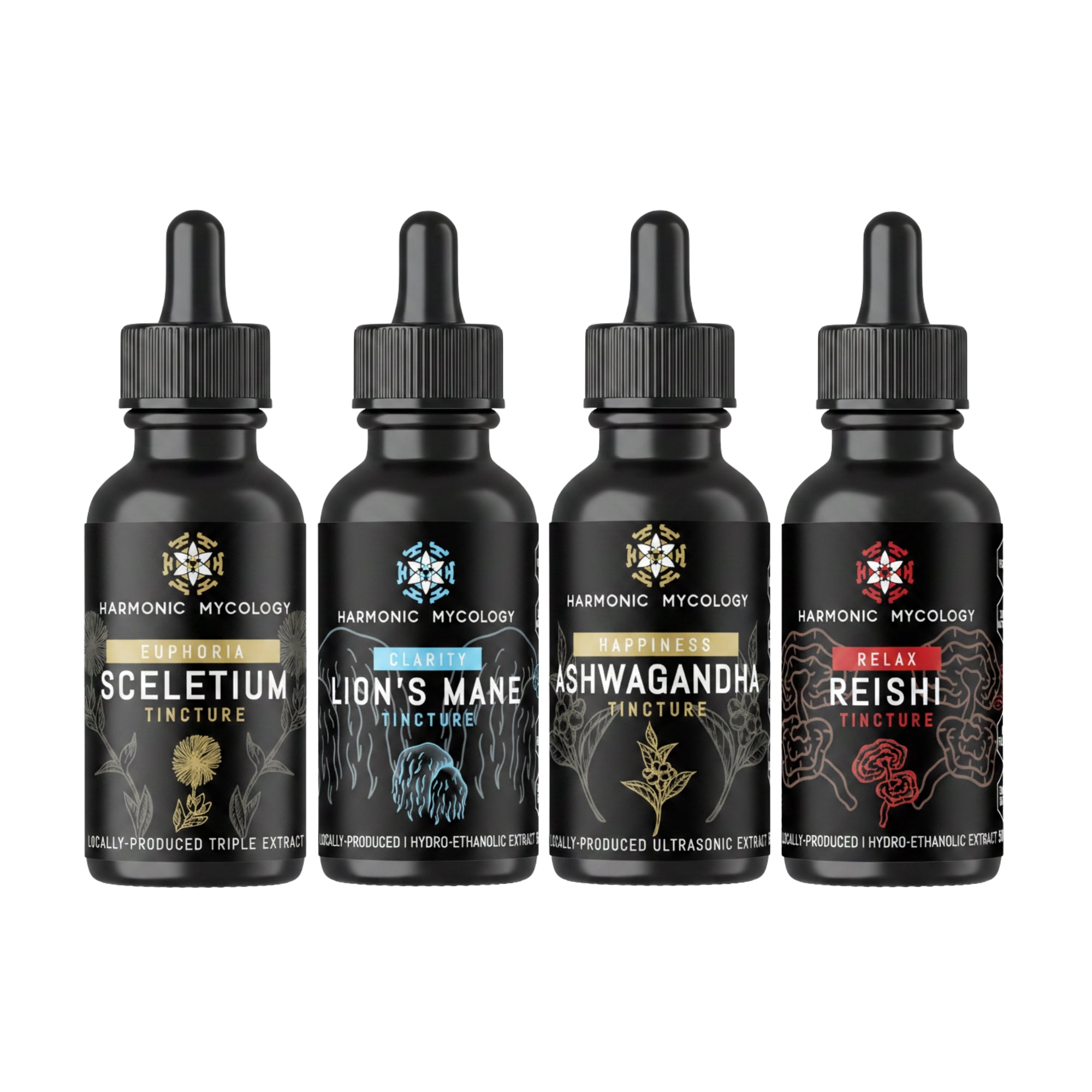 Memory & Focus Bundle
