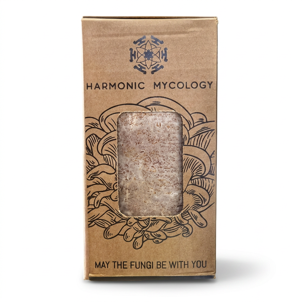 Grey Oyster Mushroom - Grow Box