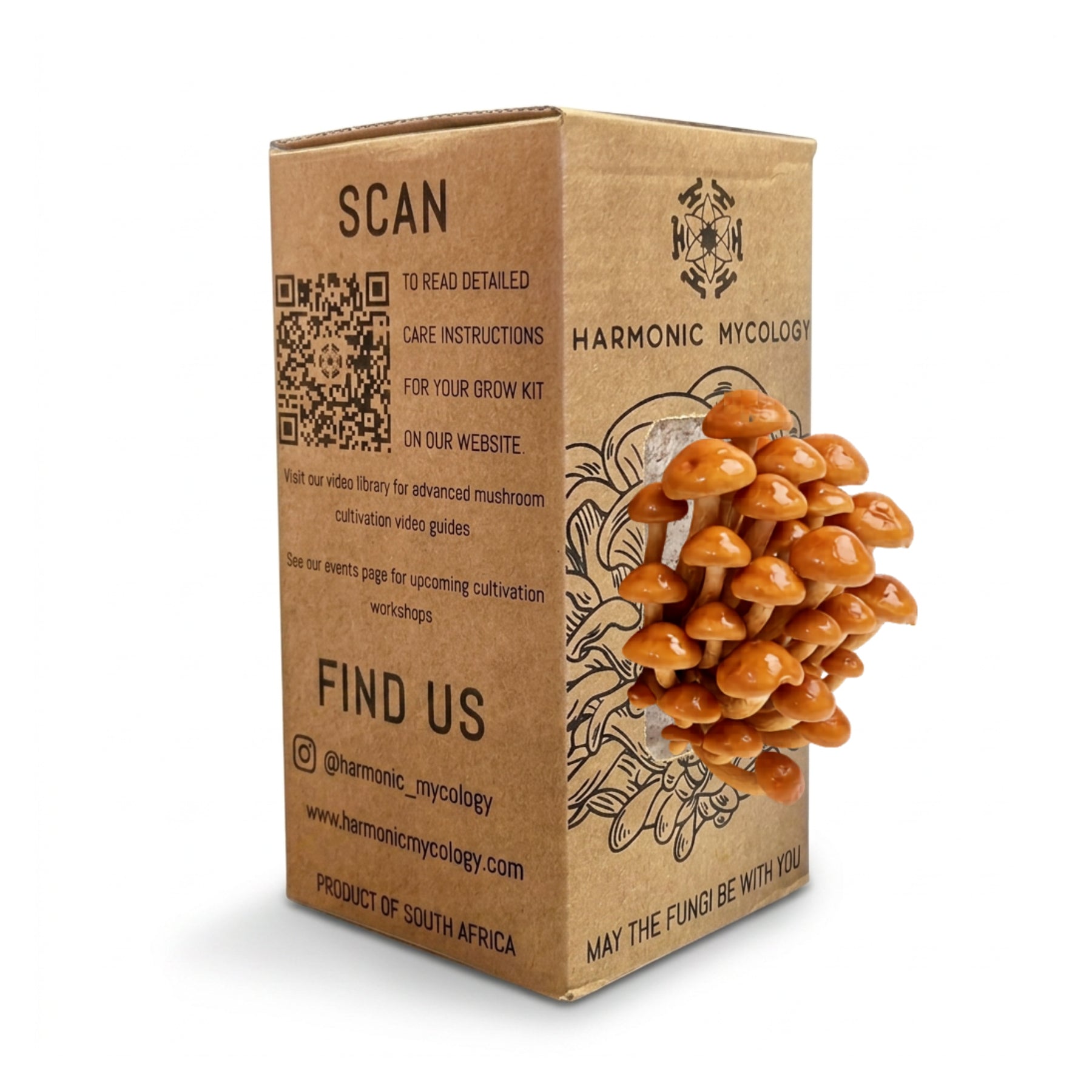 Nameko Mushroom - Grow Box