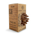 Pioppino Mushroom - Grow Box