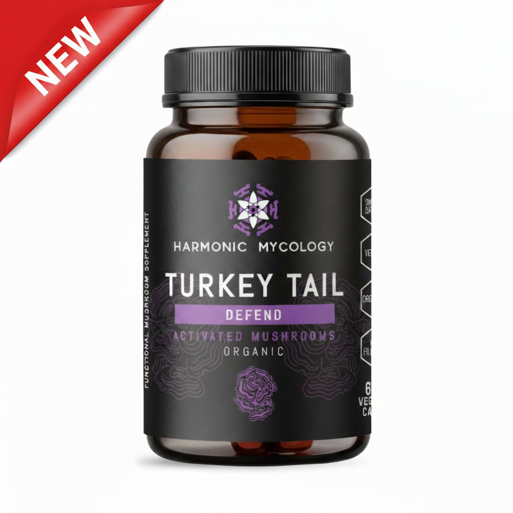 Turkey Tail Capsules