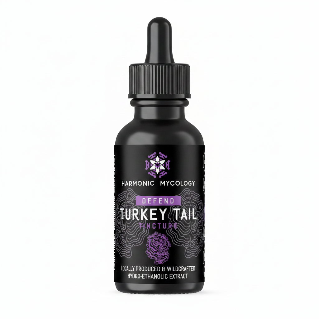 Turkey Tail extract 50ml